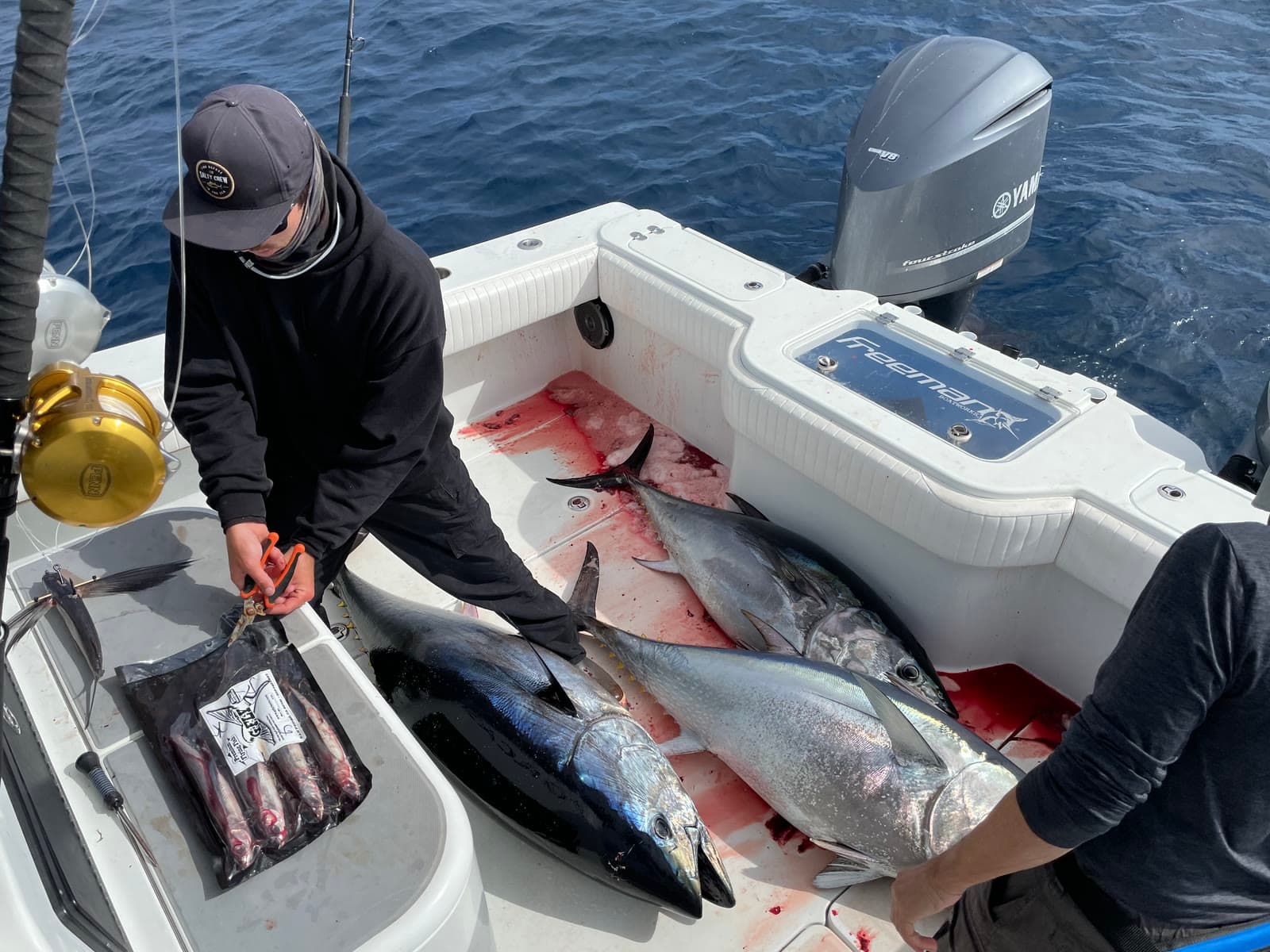 A full deck of bluefin tuna at the end of the day