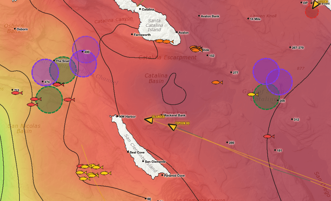 Catalysst SoCal chart showing spotter-plane areas of interest west of Catalina, member-confirmed catches beneath them, and two sportboats still steaming toward the same water