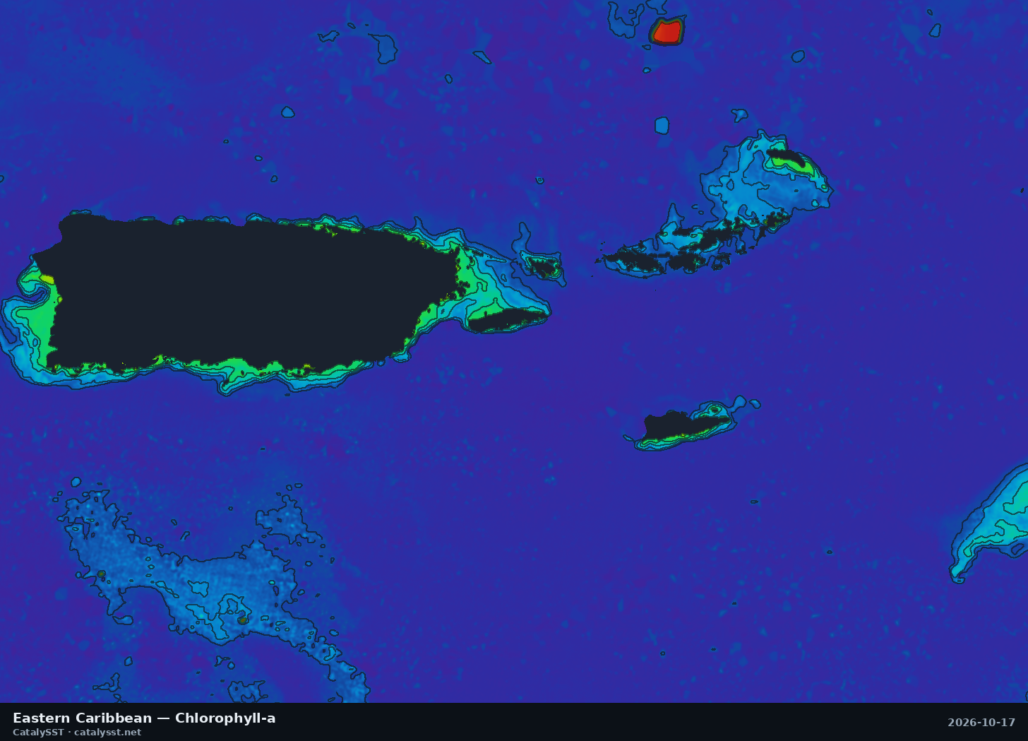 Satellite chlorophyll chart for Eastern Caribbean, October 17, 2026, with contour lines