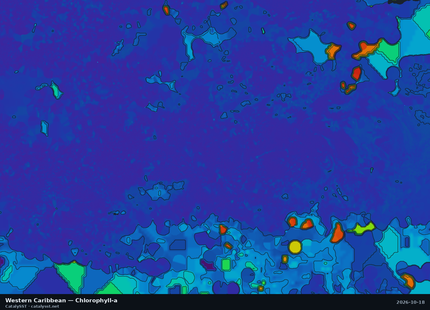 Satellite chlorophyll chart for Western Caribbean, October 17, 2026, with contour lines