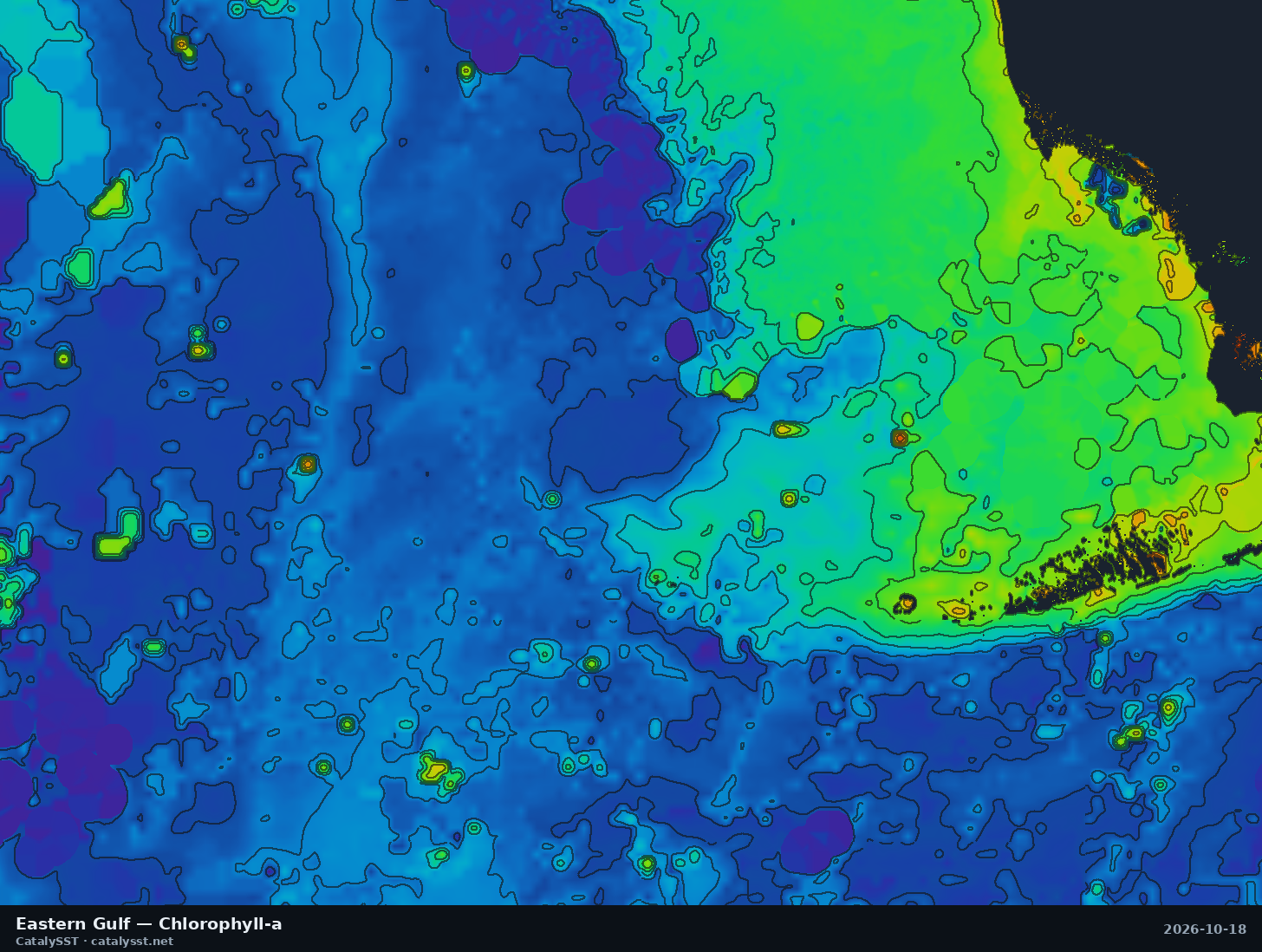 Satellite chlorophyll chart for Eastern Gulf, October 17, 2026, with contour lines