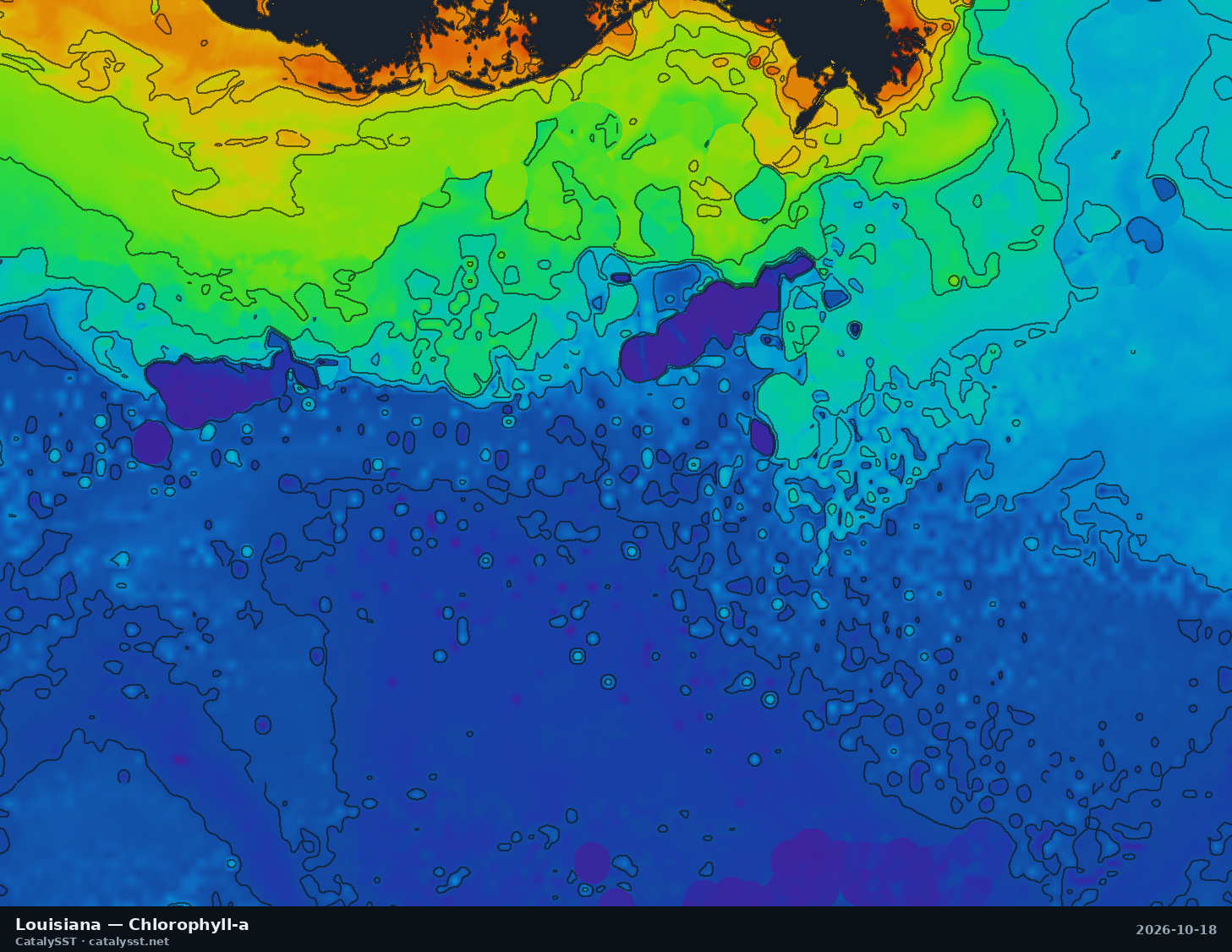 Satellite chlorophyll chart for Louisiana, October 17, 2026, with contour lines