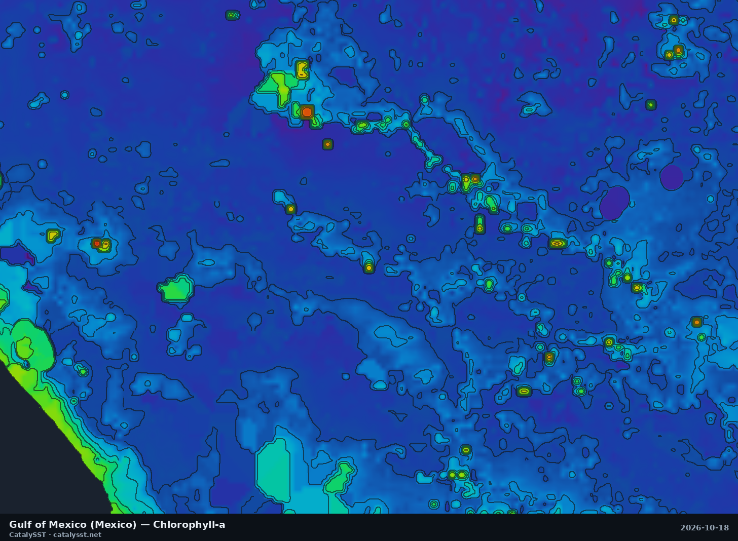 Satellite chlorophyll chart for Gulf of Mexico (Mexico), October 17, 2026, with contour lines