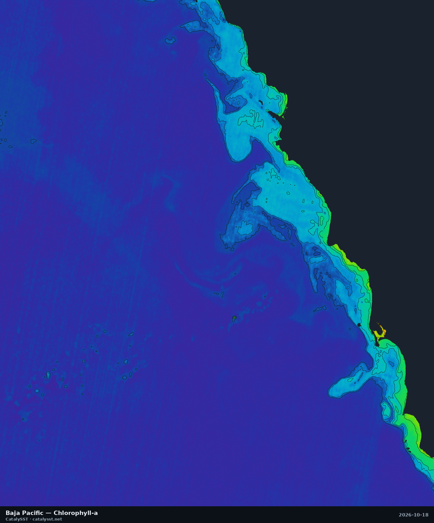 Satellite chlorophyll chart for Baja Pacific, October 17, 2026, with contour lines
