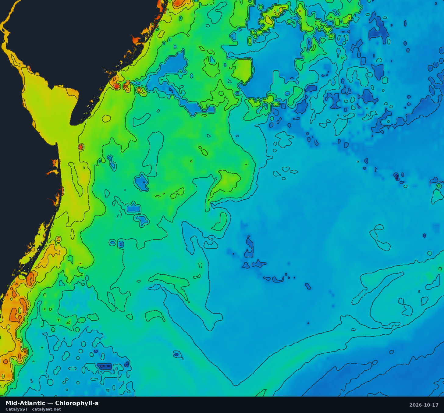 Satellite chlorophyll chart for Mid-Atlantic, October 17, 2026, with contour lines