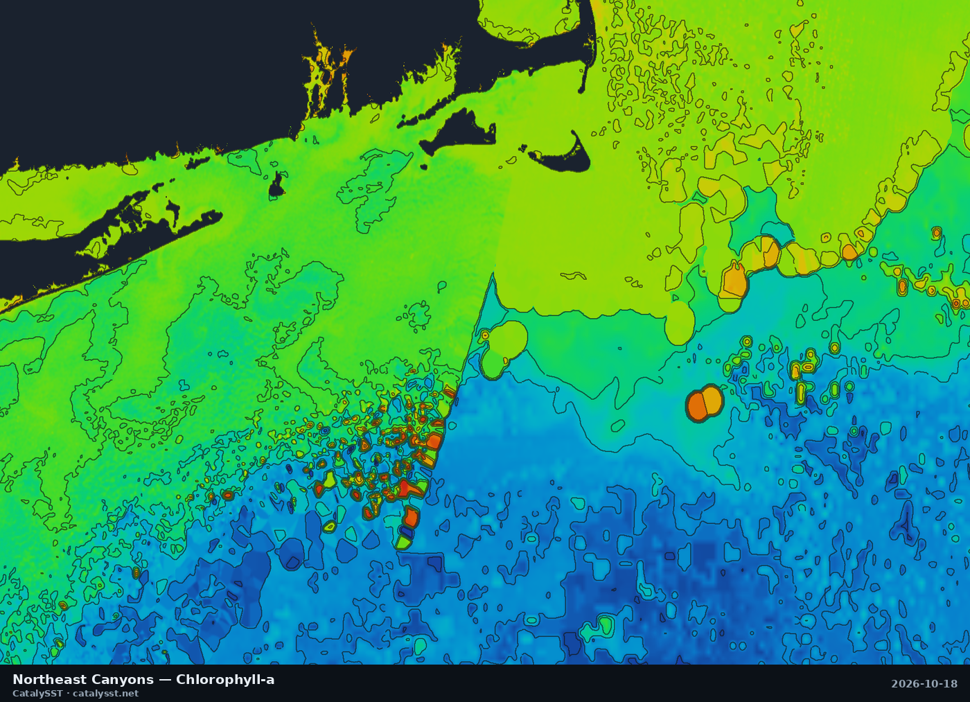 Satellite chlorophyll chart for Northeast Canyons, October 17, 2026, with contour lines