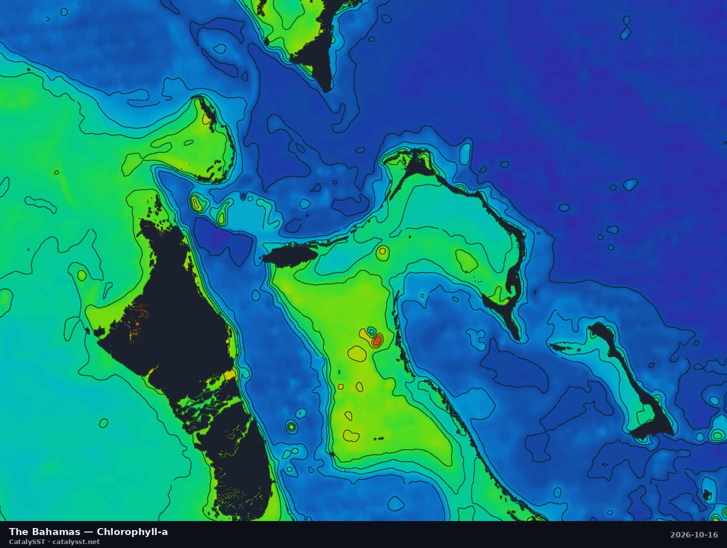 Satellite chlorophyll chart for The Bahamas, October 16, 2026, with contour lines