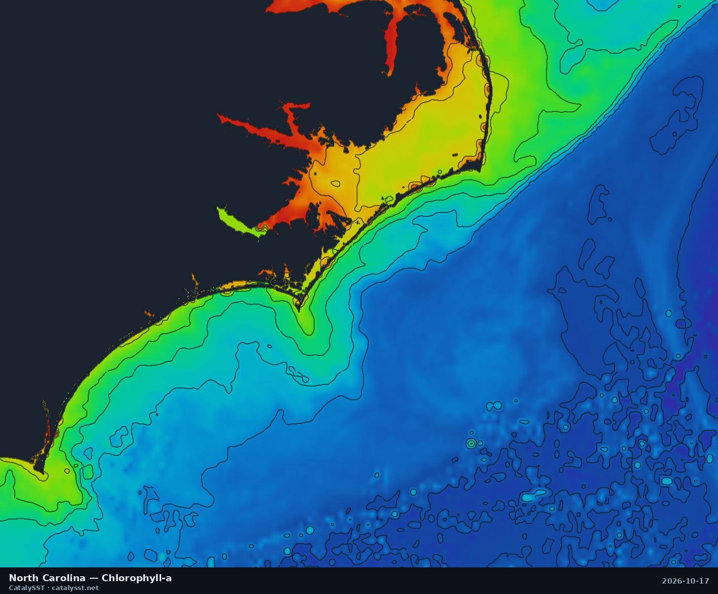 Satellite chlorophyll chart for North Carolina, October 17, 2026, with contour lines