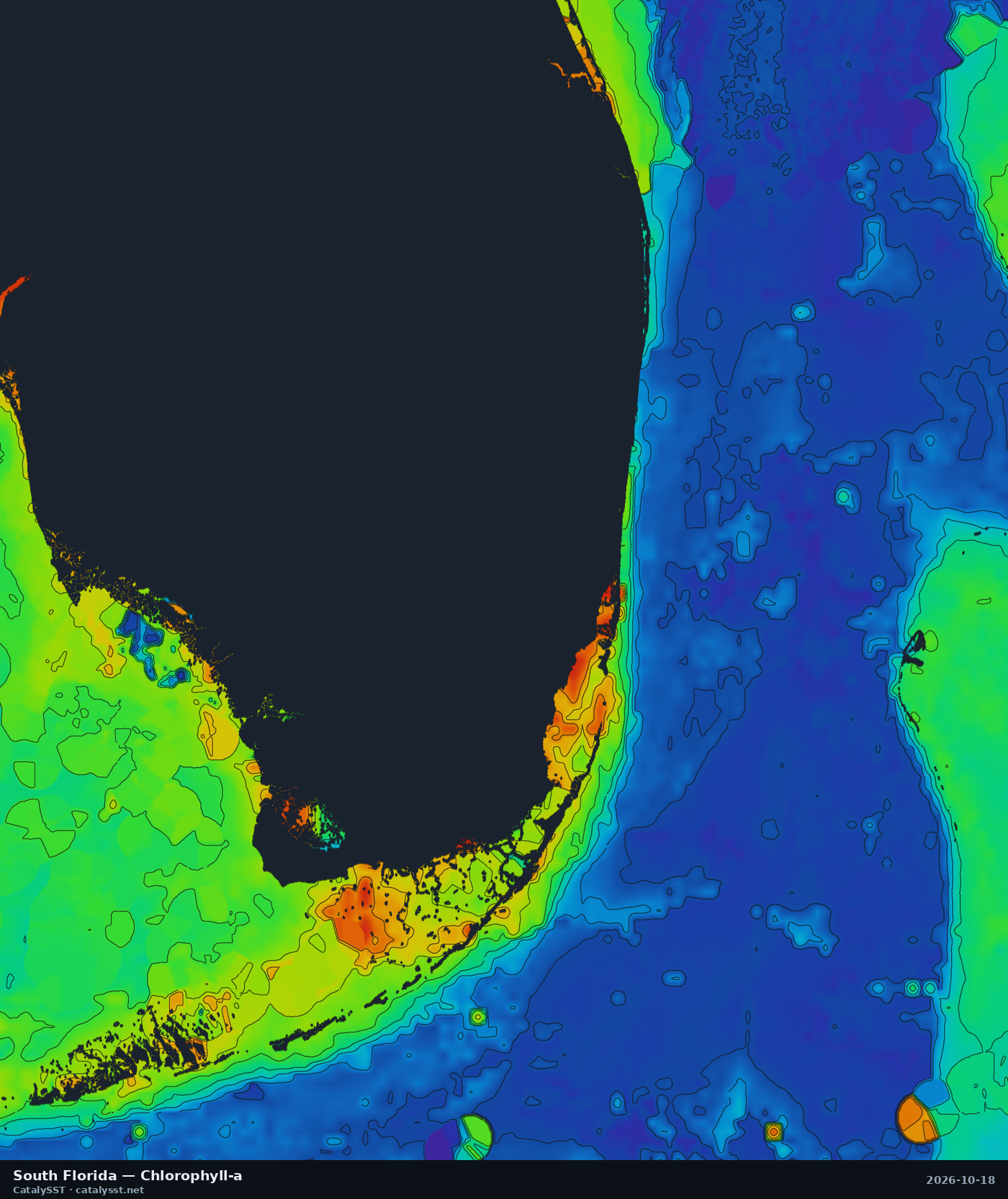 Satellite chlorophyll chart for South Florida, October 17, 2026, with contour lines