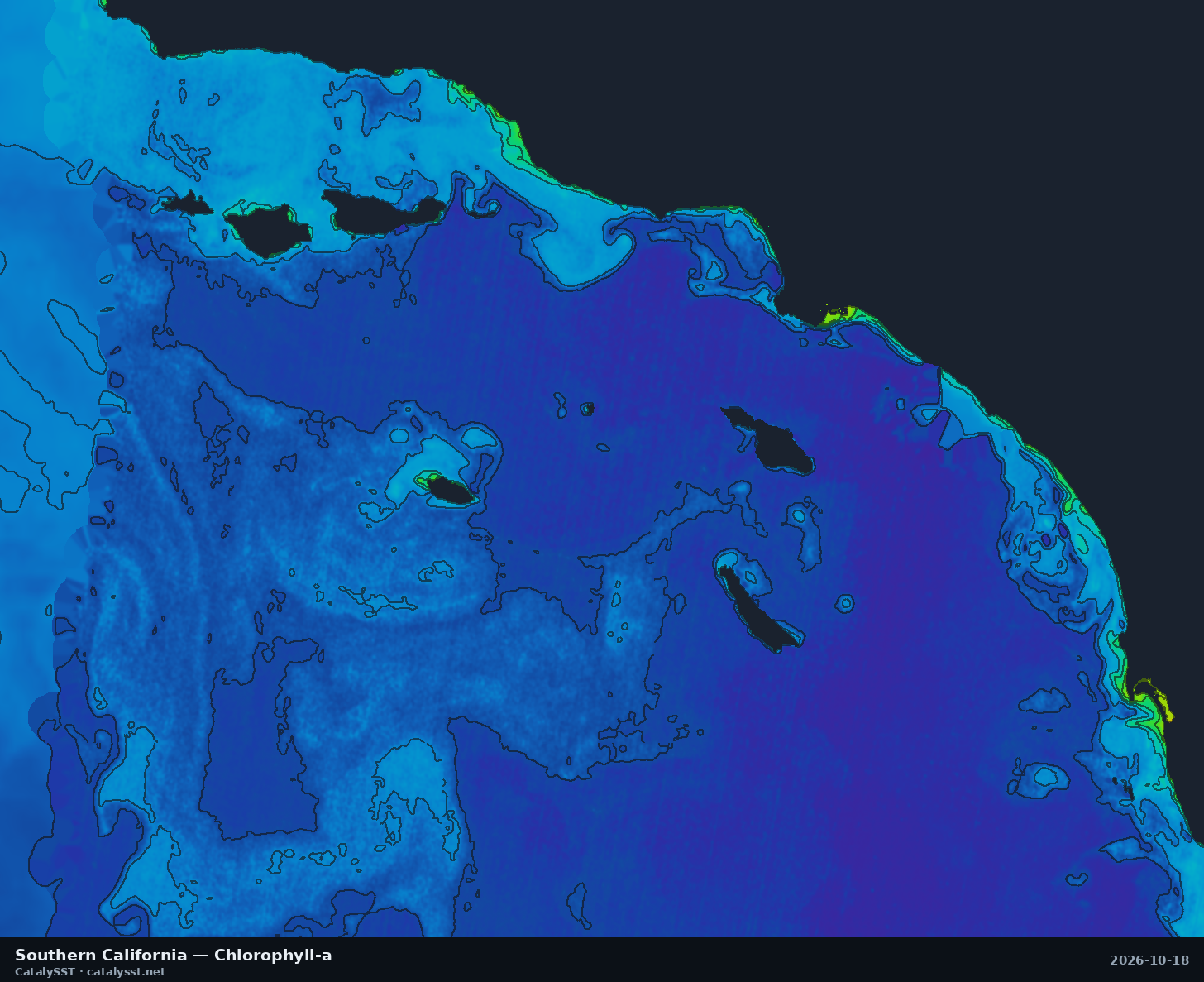 Satellite chlorophyll chart for Southern California, October 17, 2026, with contour lines