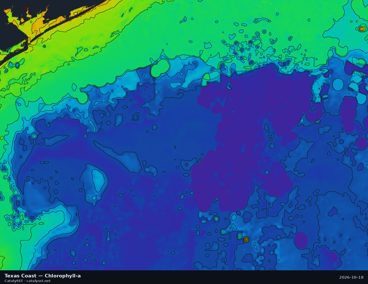 Satellite chlorophyll chart for Texas Coast, October 17, 2026, with contour lines