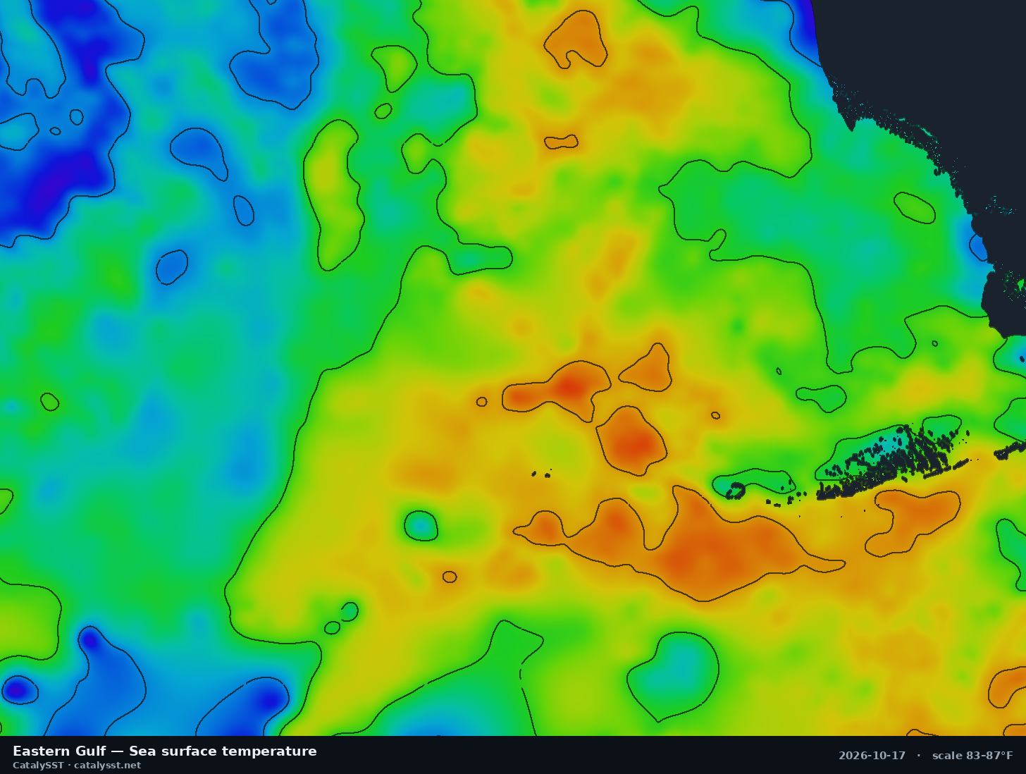 Satellite sea surface temperature chart for Eastern Gulf, October 17, 2026, with contour lines
